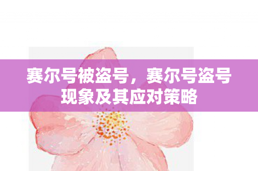 赛尔号盗号现象及其应对策略图片