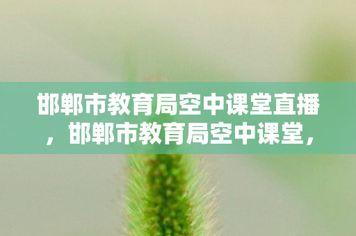 邯郸市教育局空中课堂直播图片