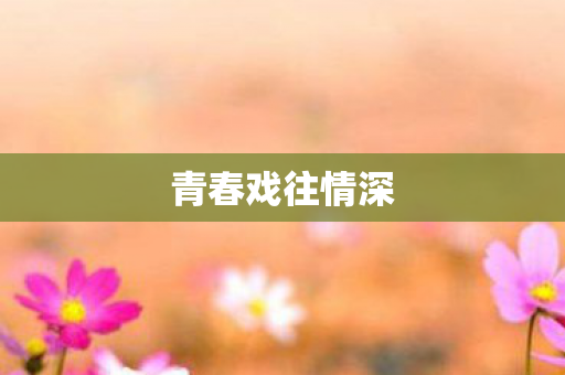 青春戏往情深图片