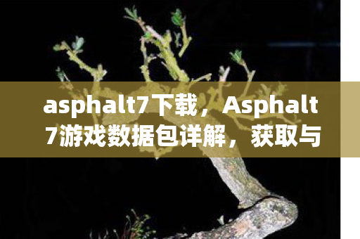 Asphalt 7游戏数据包详解图片