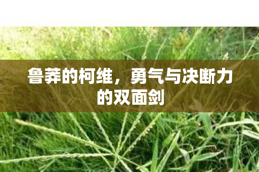 勇气与决断力的双面剑图片