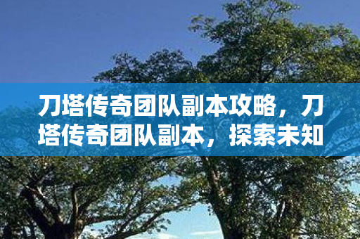 探索未知世界的冒险之旅图片