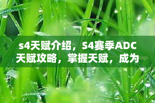 S4赛季ADC天赋攻略图片