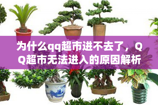 QQ超市无法进入的原因解析及解决方案图片