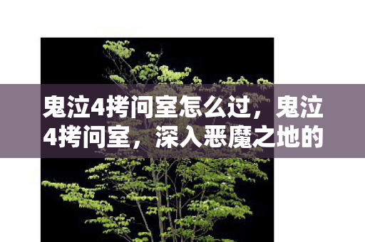 鬼泣4拷问室怎么过图片