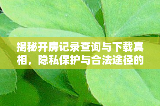 揭秘开房记录查询与下载真相图片
