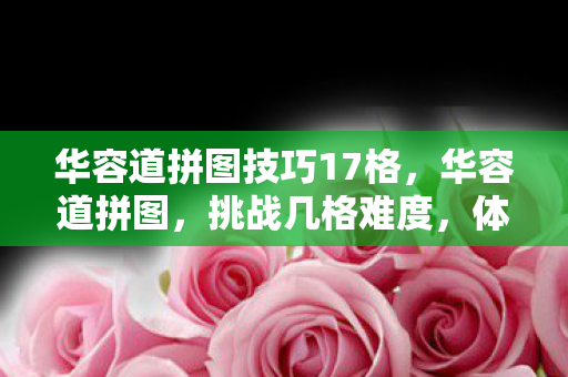 华容道拼图技巧17格图片