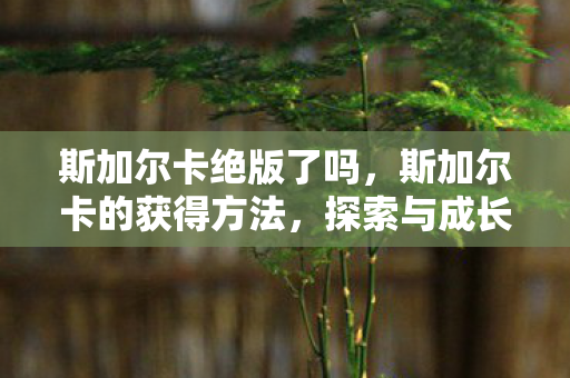 斯加尔卡的获得方法图片