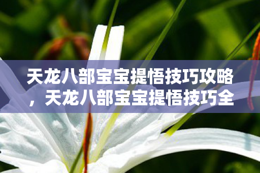 天龙八部宝宝提悟技巧全解析图片