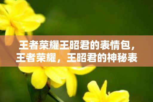 王昭君的神秘表情背后的故事图片