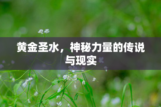 神秘力量的传说与现实图片