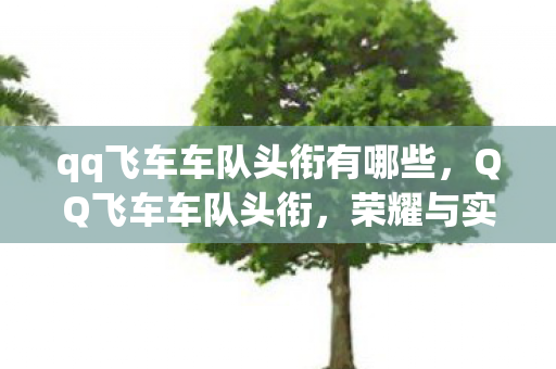 qq飞车车队头衔有哪些图片