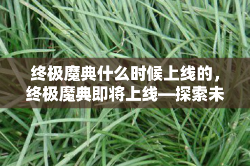 终极魔典什么时候上线的图片