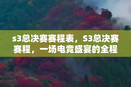 一场电竞盛宴的全程回顾图片