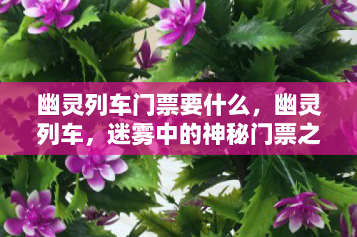 迷雾中的神秘门票之旅图片