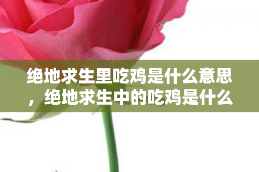 游戏背后的故事与玩家们的狂欢图片