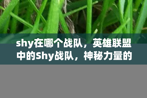 神秘力量的起源与荣耀征途图片