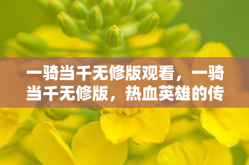 一骑当千无修版观看图片