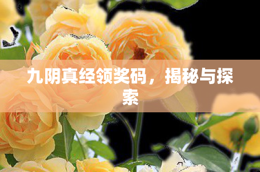 九阴真经领奖码图片