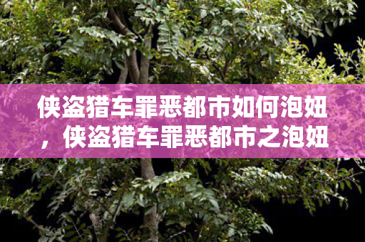 侠盗猎车罪恶都市之泡妞攻略秘籍图片