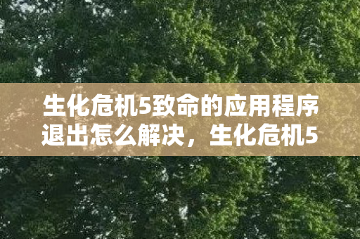 生化危机5致命的应用程序退出怎么解决图片