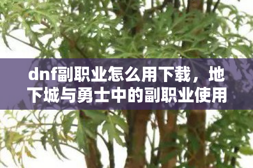 地下城与勇士中的副职业使用指南图片
