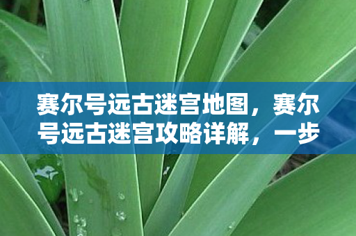 赛尔号远古迷宫攻略详解图片