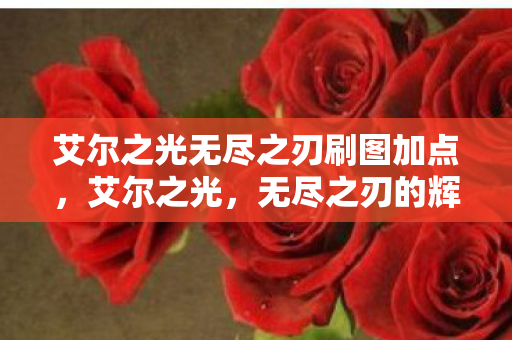 艾尔之光无尽之刃刷图加点图片