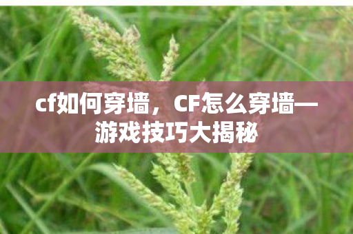 游戏技巧大揭秘图片