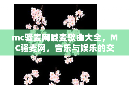 mc骚麦网喊麦歌曲大全图片