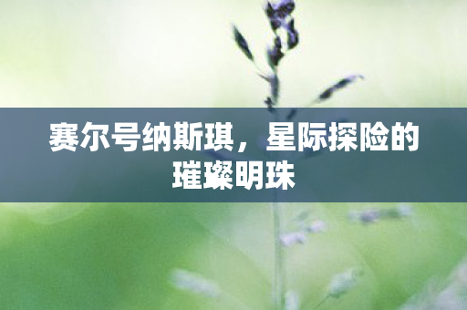 星际探险的璀璨明珠图片