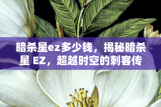 超越时空的刺客传奇图片