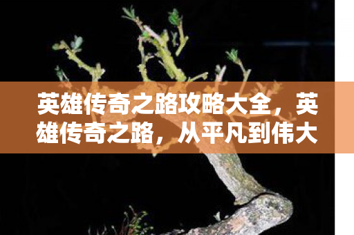 英雄传奇之路攻略大全图片