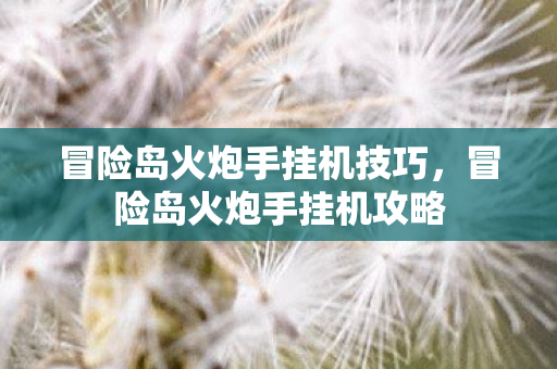 冒险岛火炮手挂机技巧图片