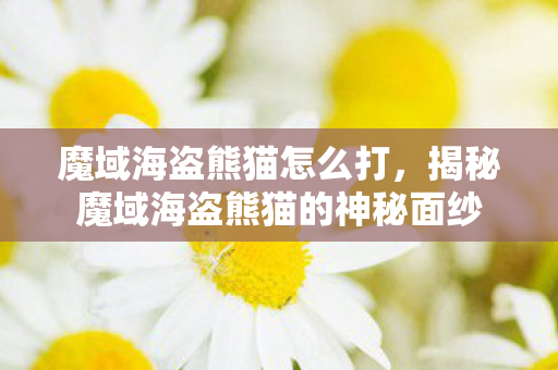 揭秘魔域海盗熊猫的神秘面纱图片