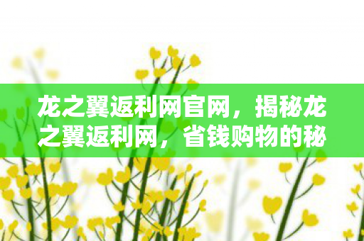 省钱购物的秘密武器图片