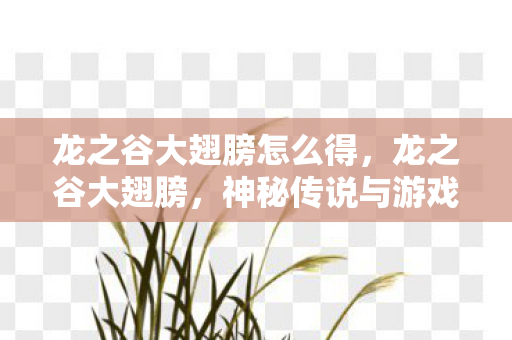 神秘传说与游戏世界的交织图片