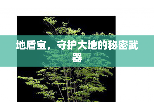 守护大地的秘密武器图片
