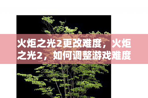 火炬之光2更改难度图片
