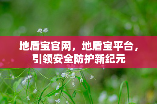 引领安全防护新纪元图片