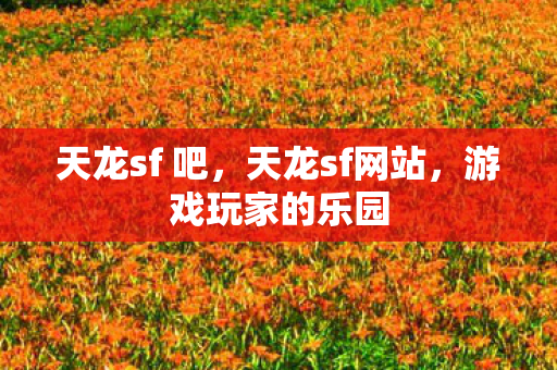 游戏玩家的乐园图片