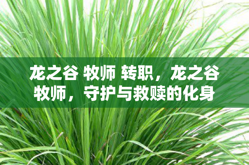 龙之谷 牧师 转职图片