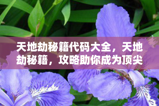 攻略助你成为顶尖玩家图片