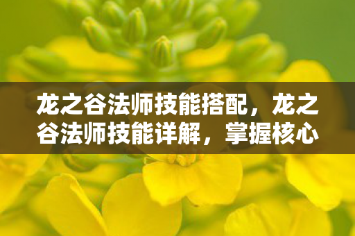 龙之谷法师技能搭配图片