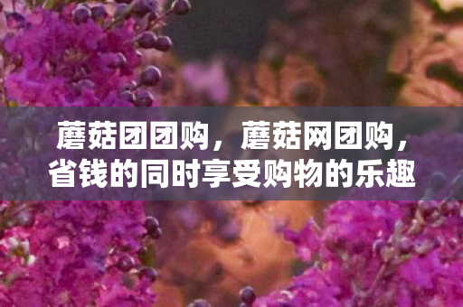 省钱的同时享受购物的乐趣图片