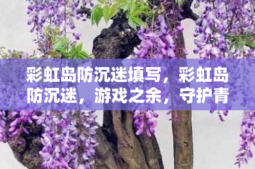 彩虹岛防沉迷填写图片
