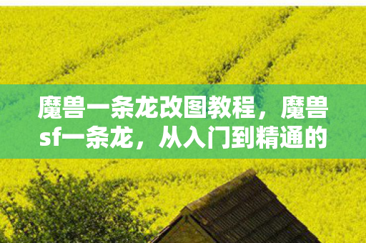 从入门到精通的全攻略图片