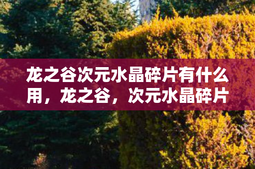 龙之谷次元水晶碎片有什么用图片