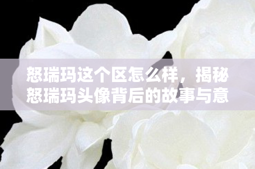 揭秘怒瑞玛头像背后的故事与意义图片