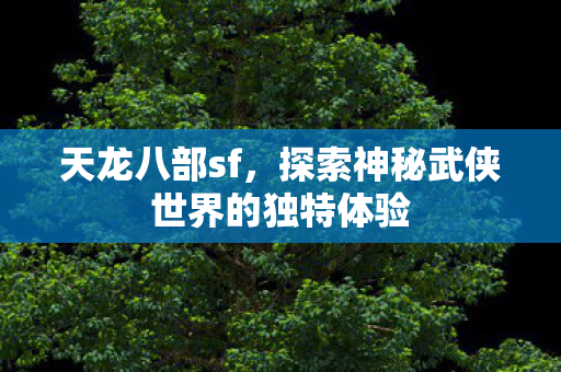 探索神秘武侠世界的独特体验图片